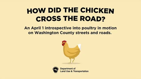 Road Rage Chicken: A Feathery Fight for Survival