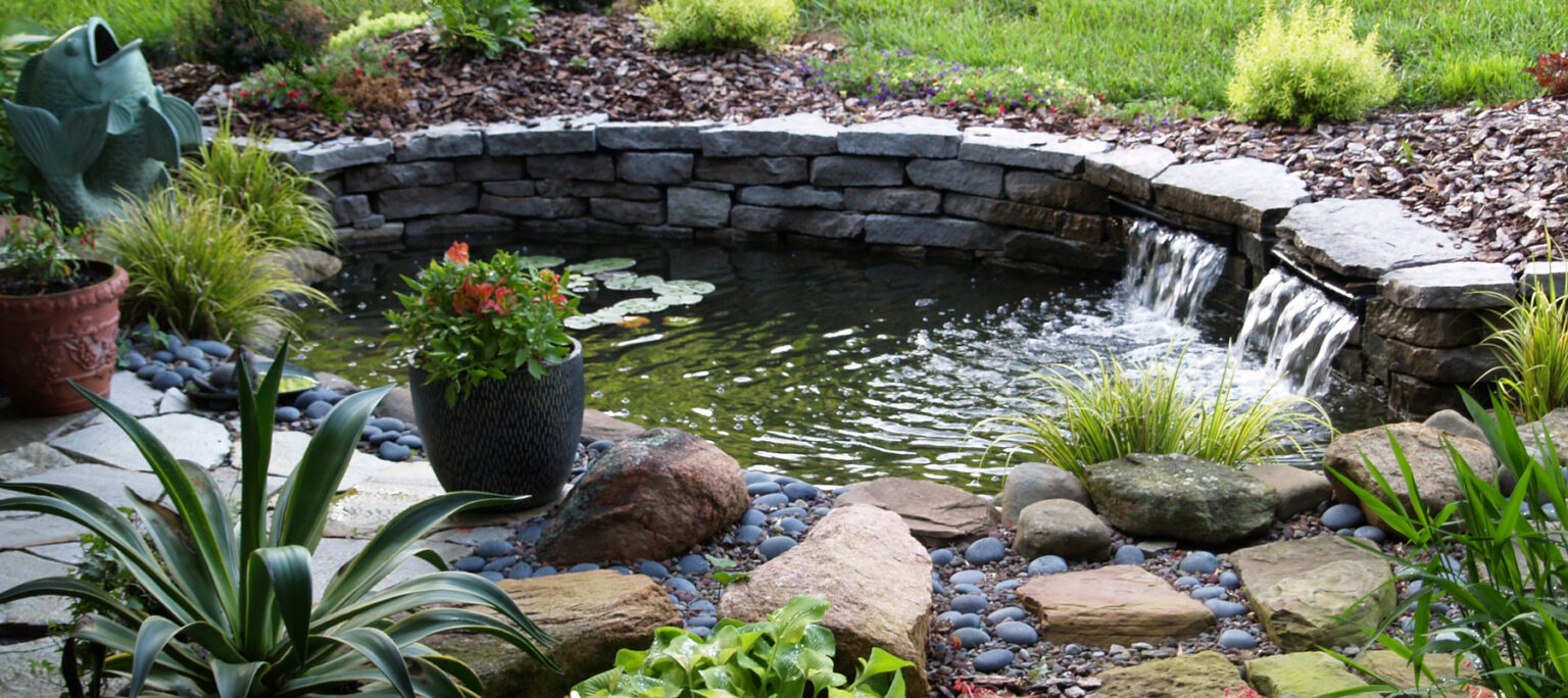 Keeping Your Garden Pond Fresh and Healthy in Kent